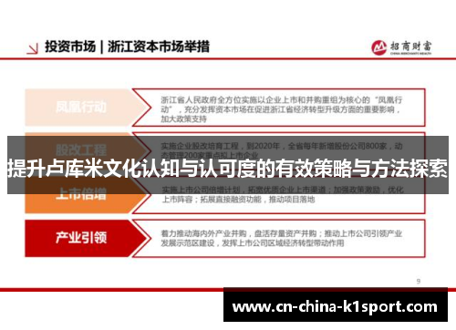 提升卢库米文化认知与认可度的有效策略与方法探索
