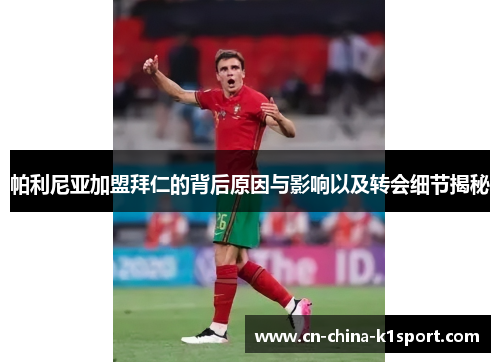 帕利尼亚加盟拜仁的背后原因与影响以及转会细节揭秘