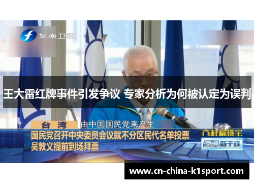 王大雷红牌事件引发争议 专家分析为何被认定为误判 王大雷红牌事件引发争议 专家分析为何被认定为误判